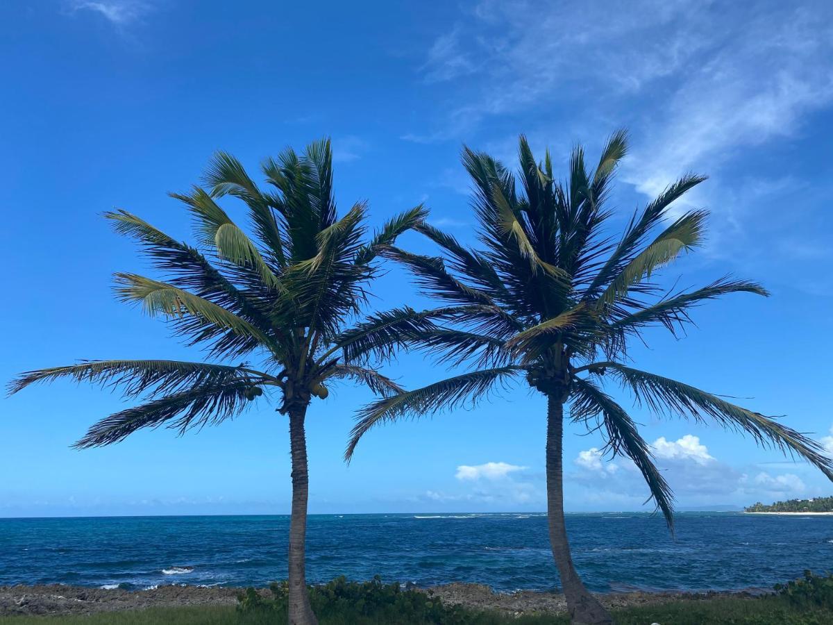 Villa Phare Caraibes Guadeloupe - Rooftop Jacuzzi & Ocean View ル・ムル エクステリア 写真